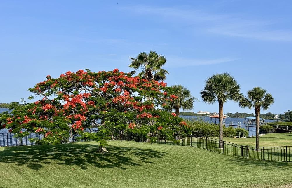 American Dream Landscape & Estate Management
