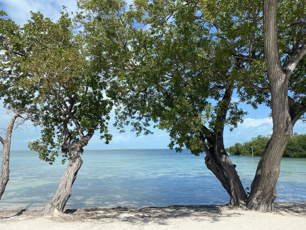 Beach at Founders Park
