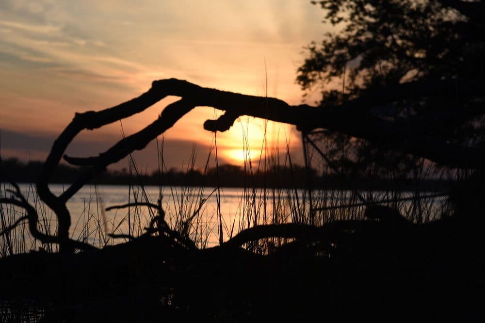 Dames Point Park