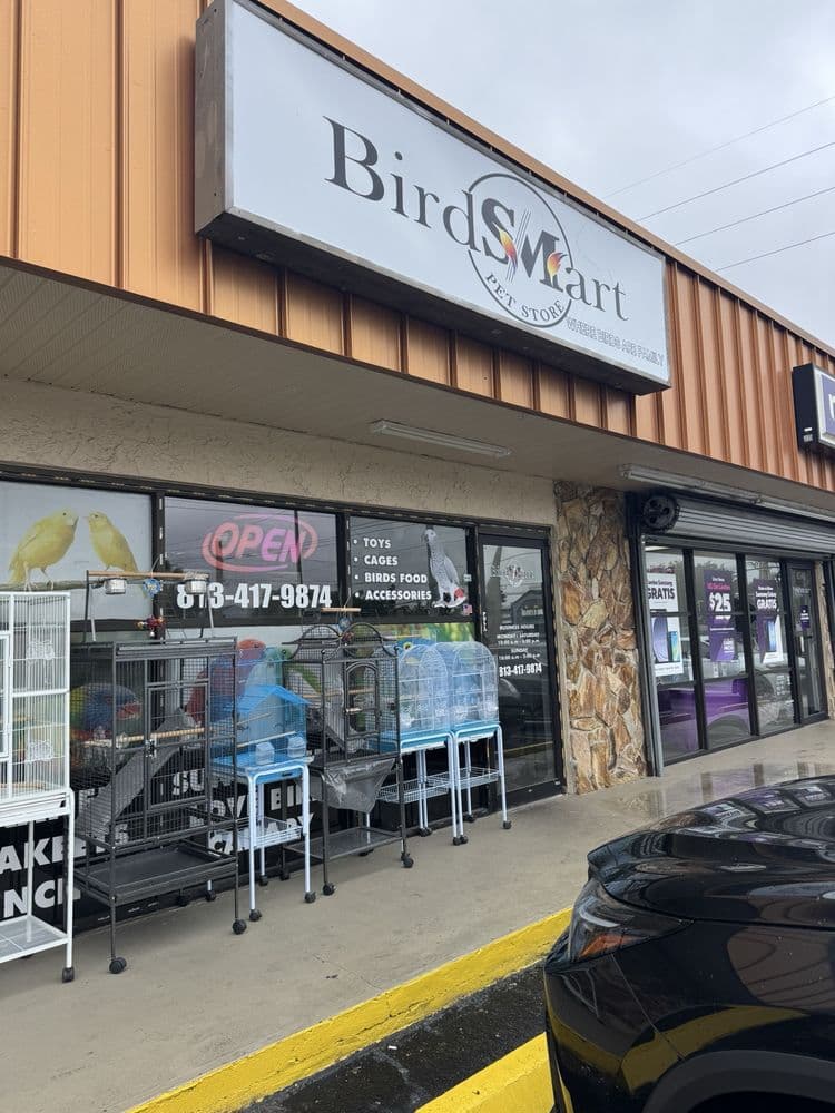 Birdsmart