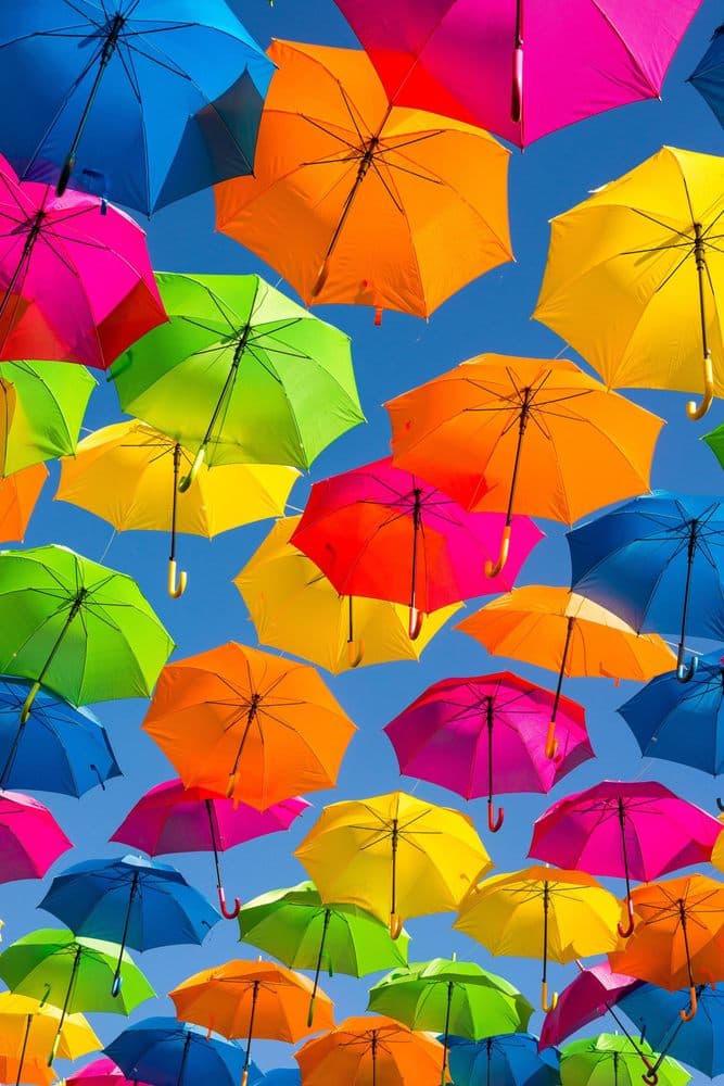 Premier Group Insurance