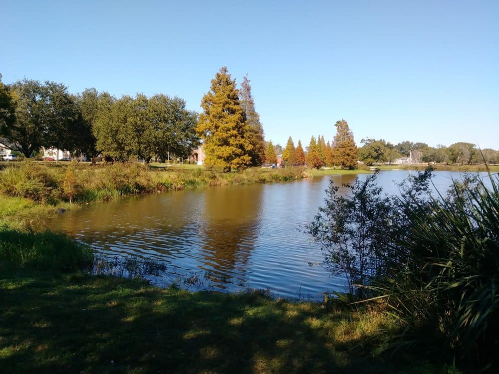 Robles Park