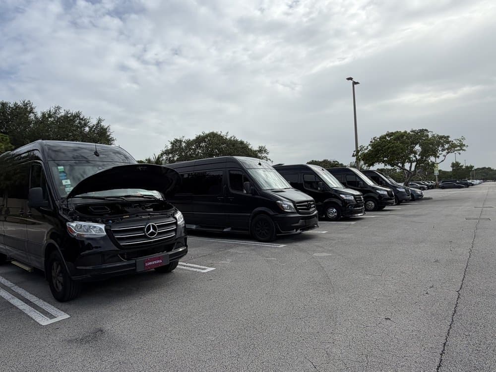 Luxury Lifestyle Connections