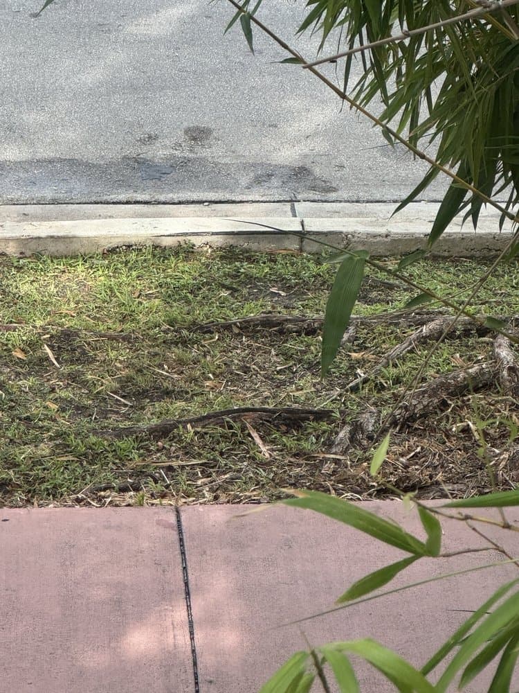 Superior Landscaping & Lawn Service