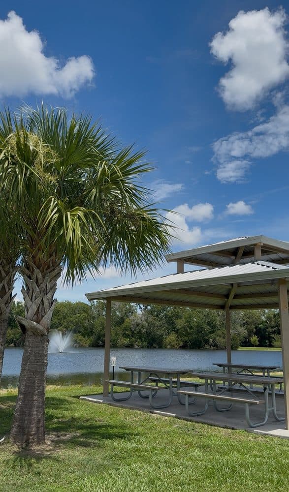 Carrollwood Village Park