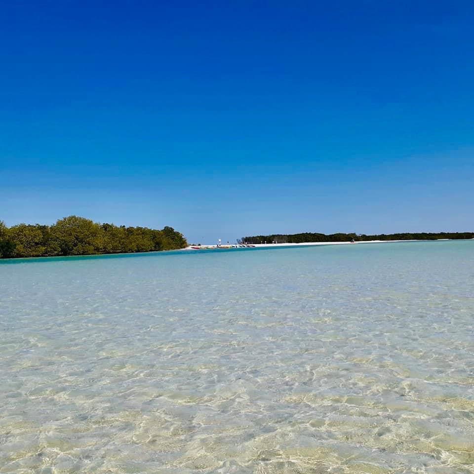 Shell Key Preserve