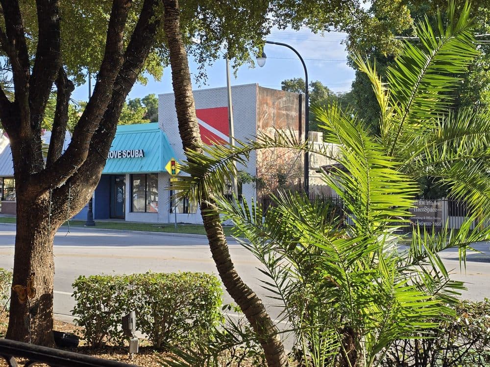 Coconut Grove
