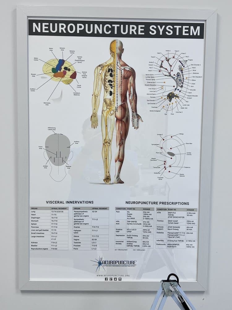 Integrative Rehab Medicine