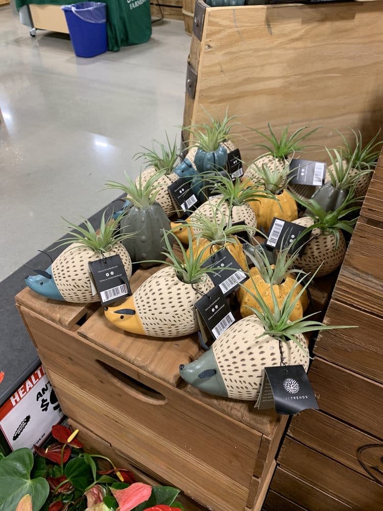 Sprouts Farmers Market