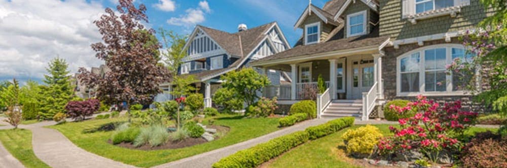 Advanced Tree & Landscape Services