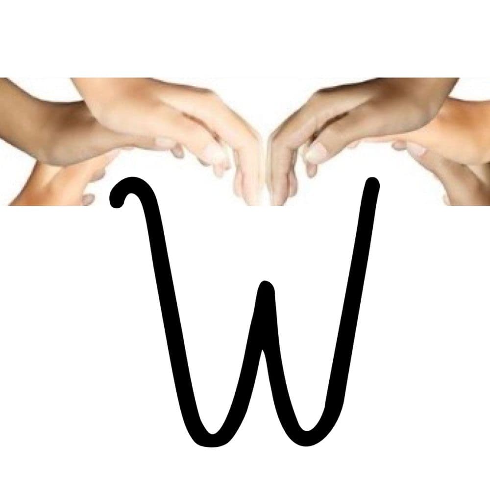 Wynn Insurance