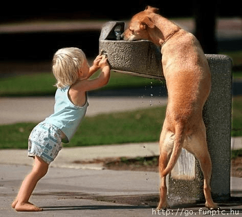 Wags and Wiggles, Inc.