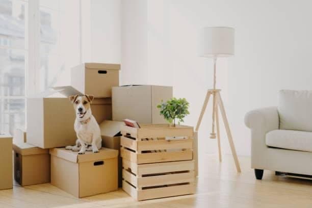 Five Stars Moving and Storage