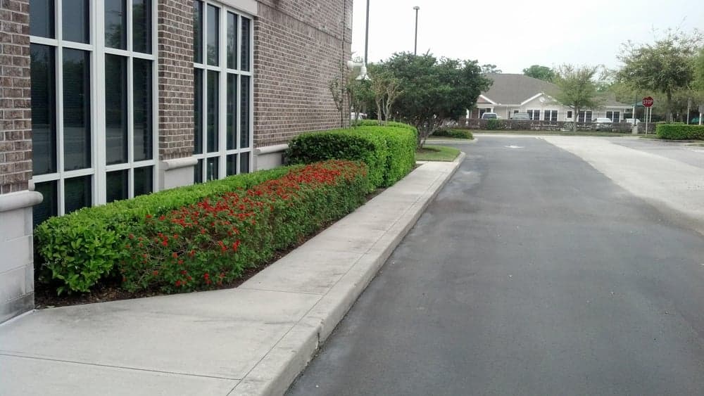 Code Green Lawn Services