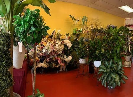 Flower Kingdom