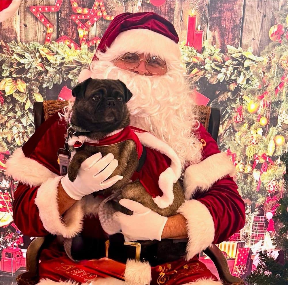 Woof Gang Bakery & Grooming Fort Lauderdale