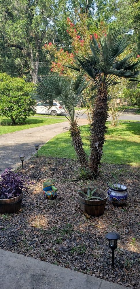 Green Acres Landscape Management
