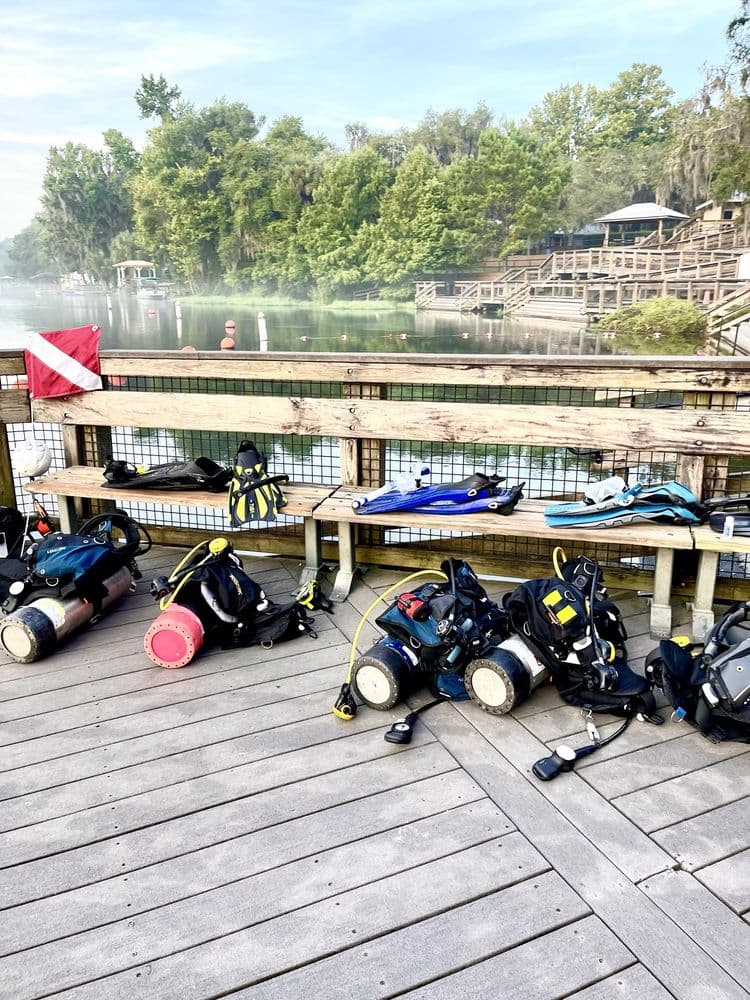 First Coast Divers