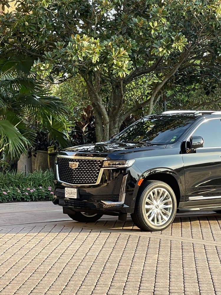 Black Chariot Limousine