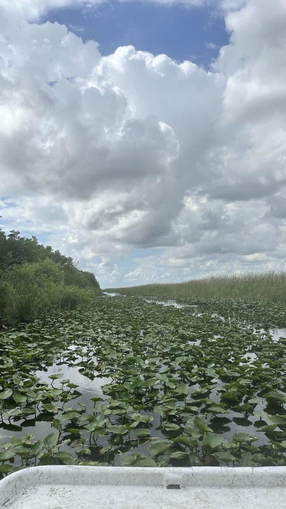 Mack's Fish Camp