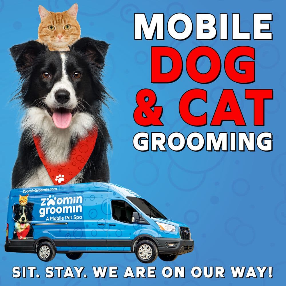 Zoomin Groomin - Orlando, FL
