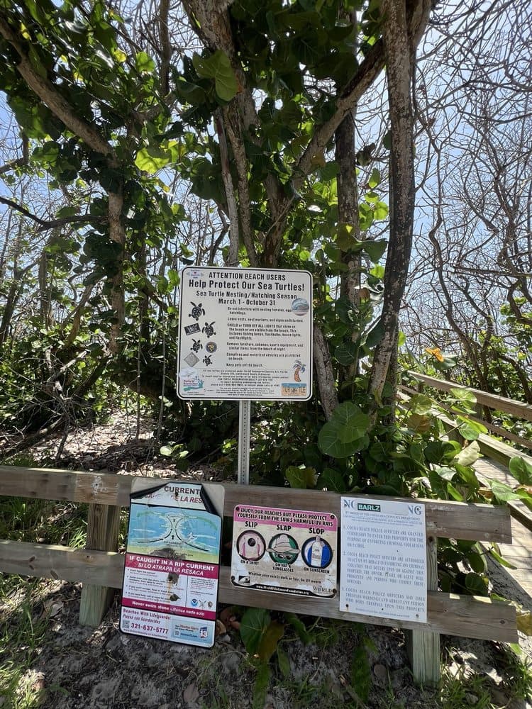 Robert P Murkshe Memorial Park