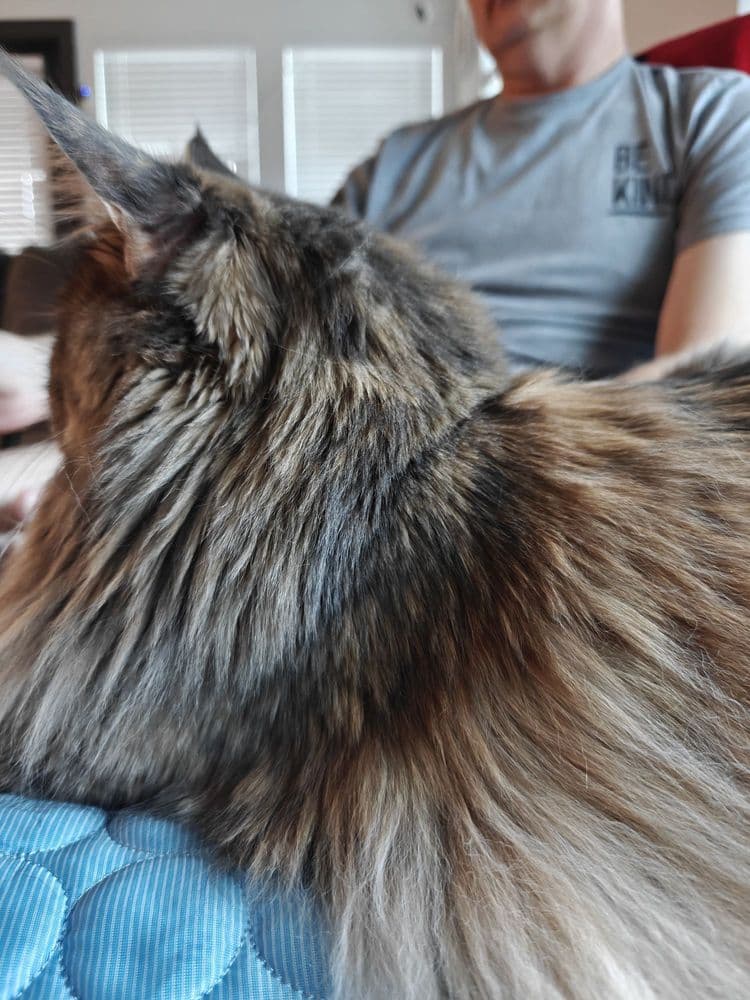 Caren's Grooming Salon