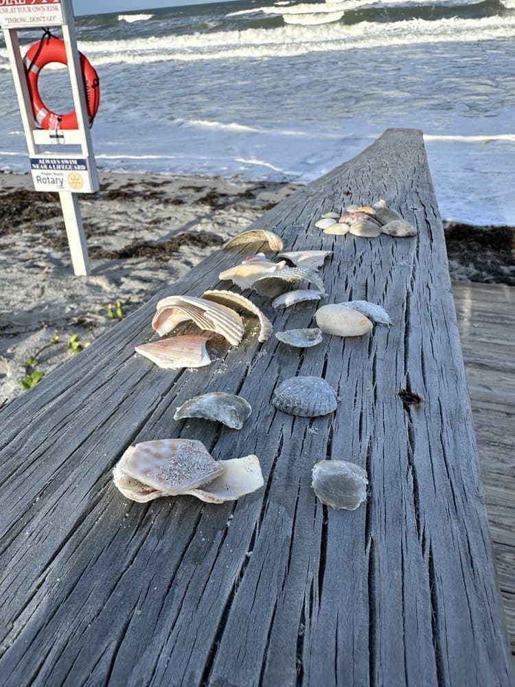 Flagler Beach