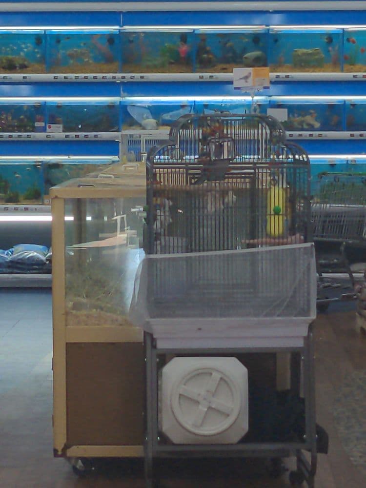 Pet Supermarket