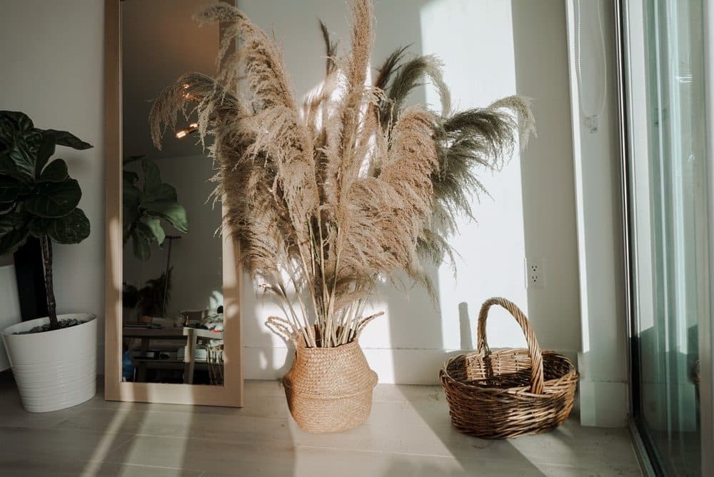 Witchy Flowers + Pampas
