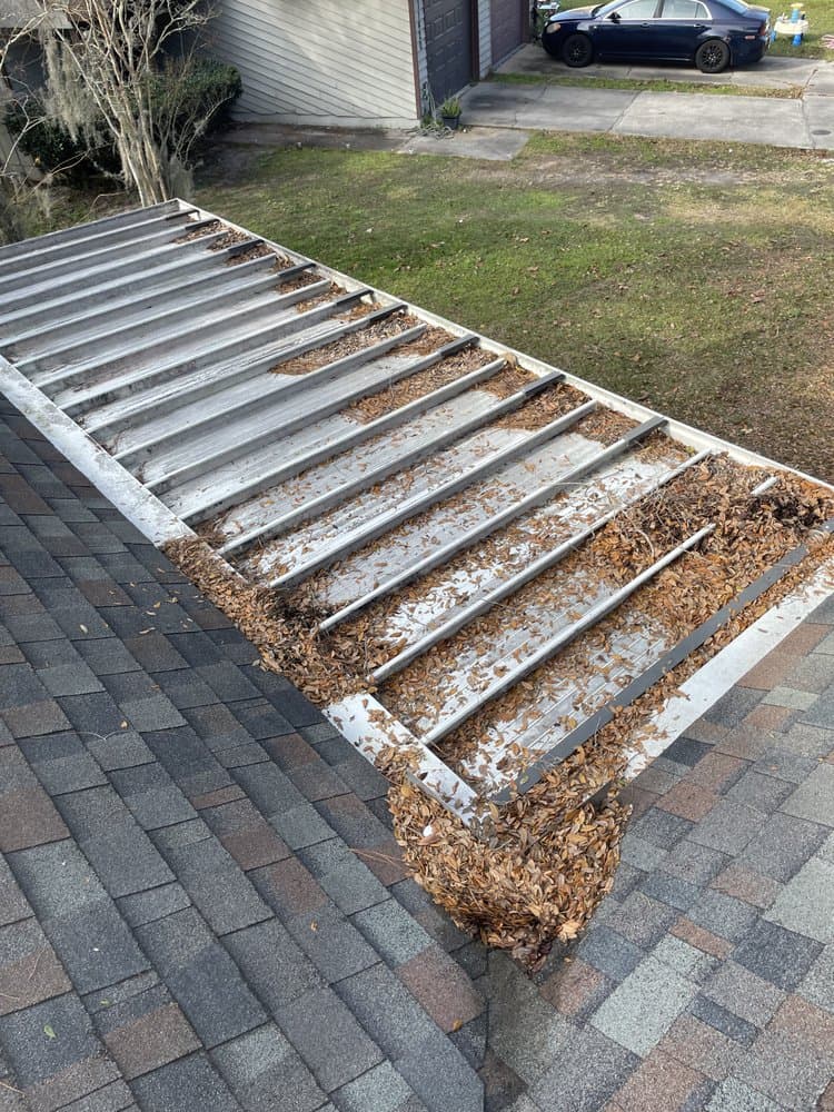 Fla lawn pros