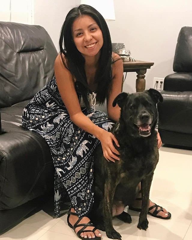 Fuzzy Paws Pet Sitters