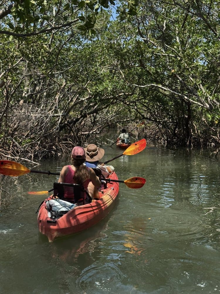 Happy Paddler Kayak Tours & EcoVentures