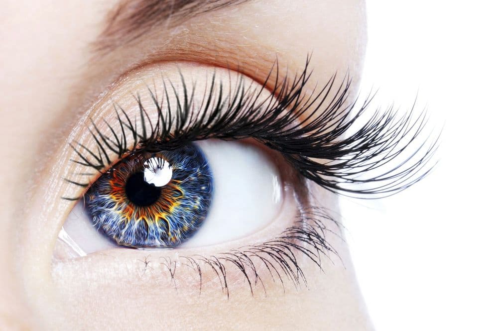 Excellence In Eye Care