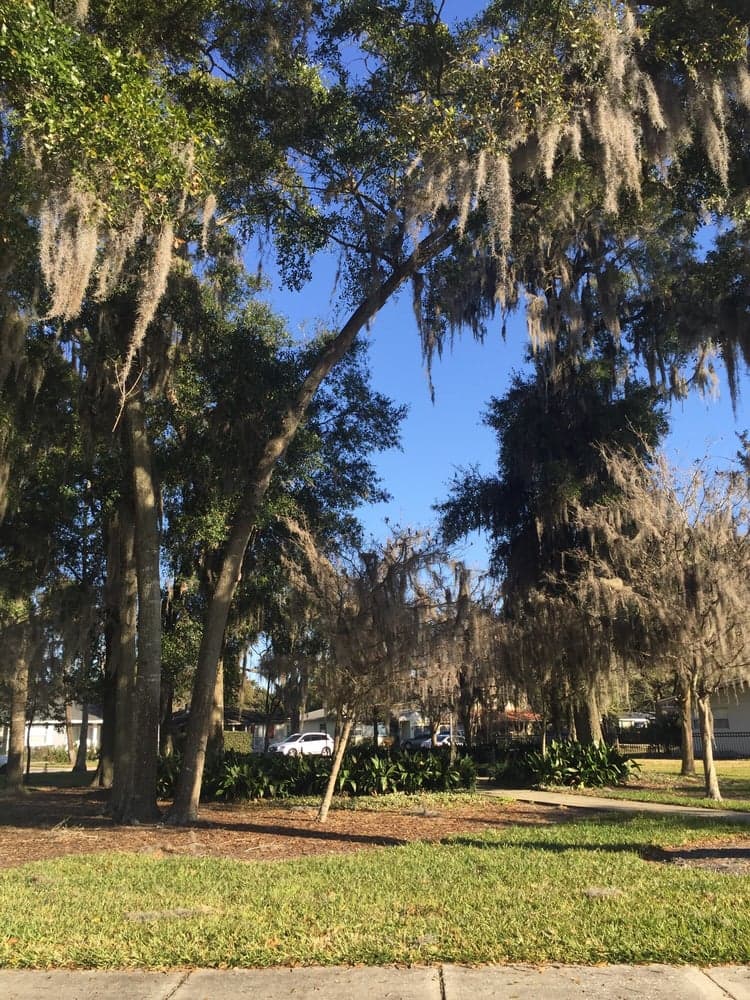 Orwin Manor Park