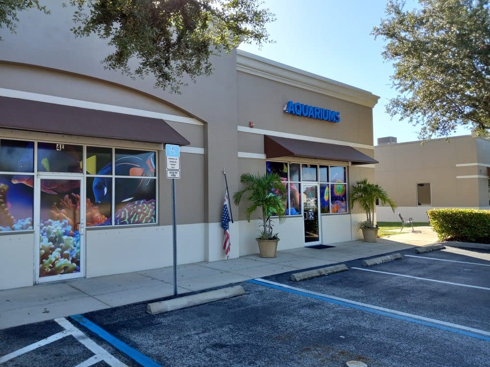 Seven Seas Aquatics