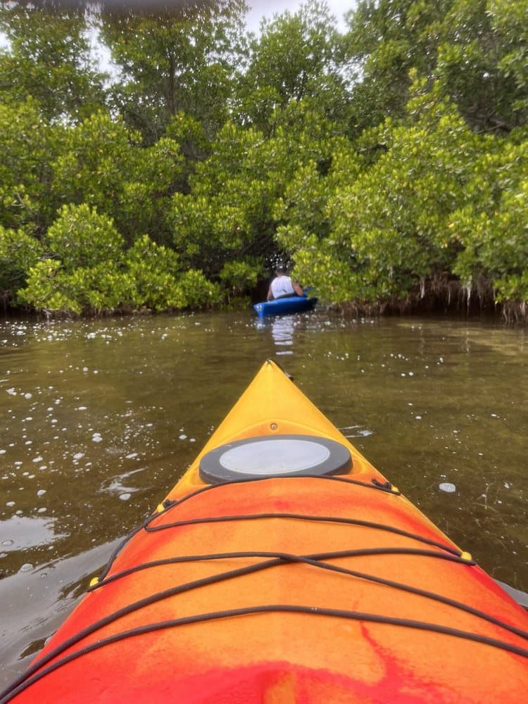 Island Kayak Tours