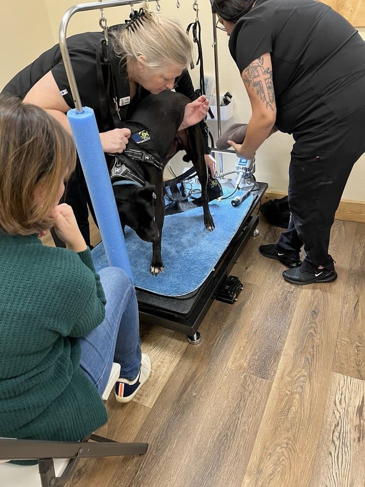 Lucky Puppy Nail Specialists