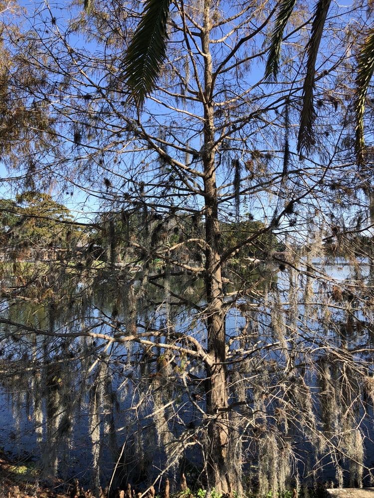 Lake Rowena Park