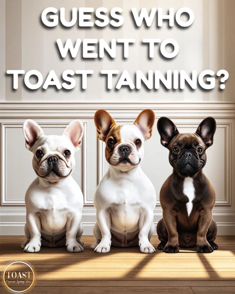 TOAST