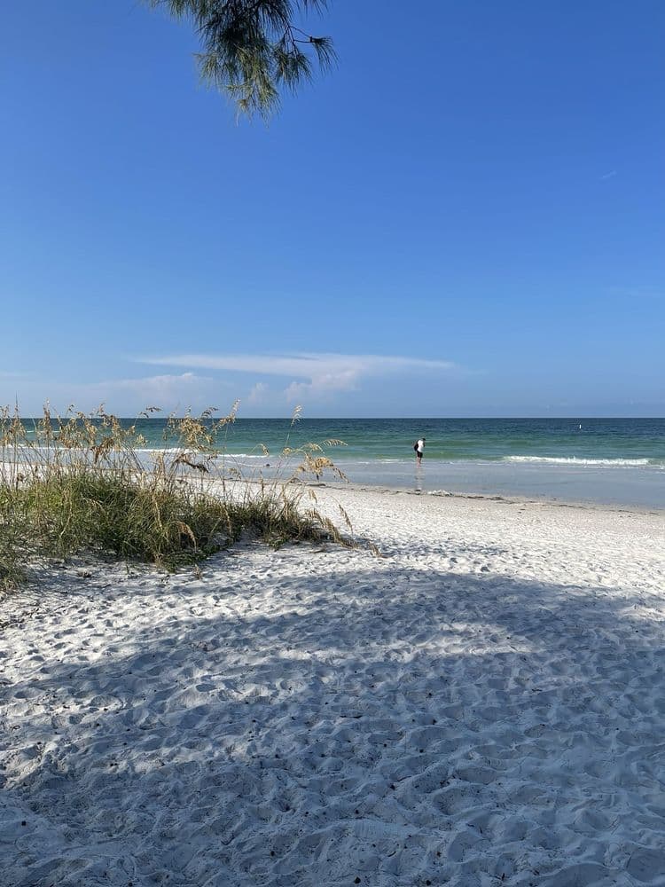 Beach Park Access
