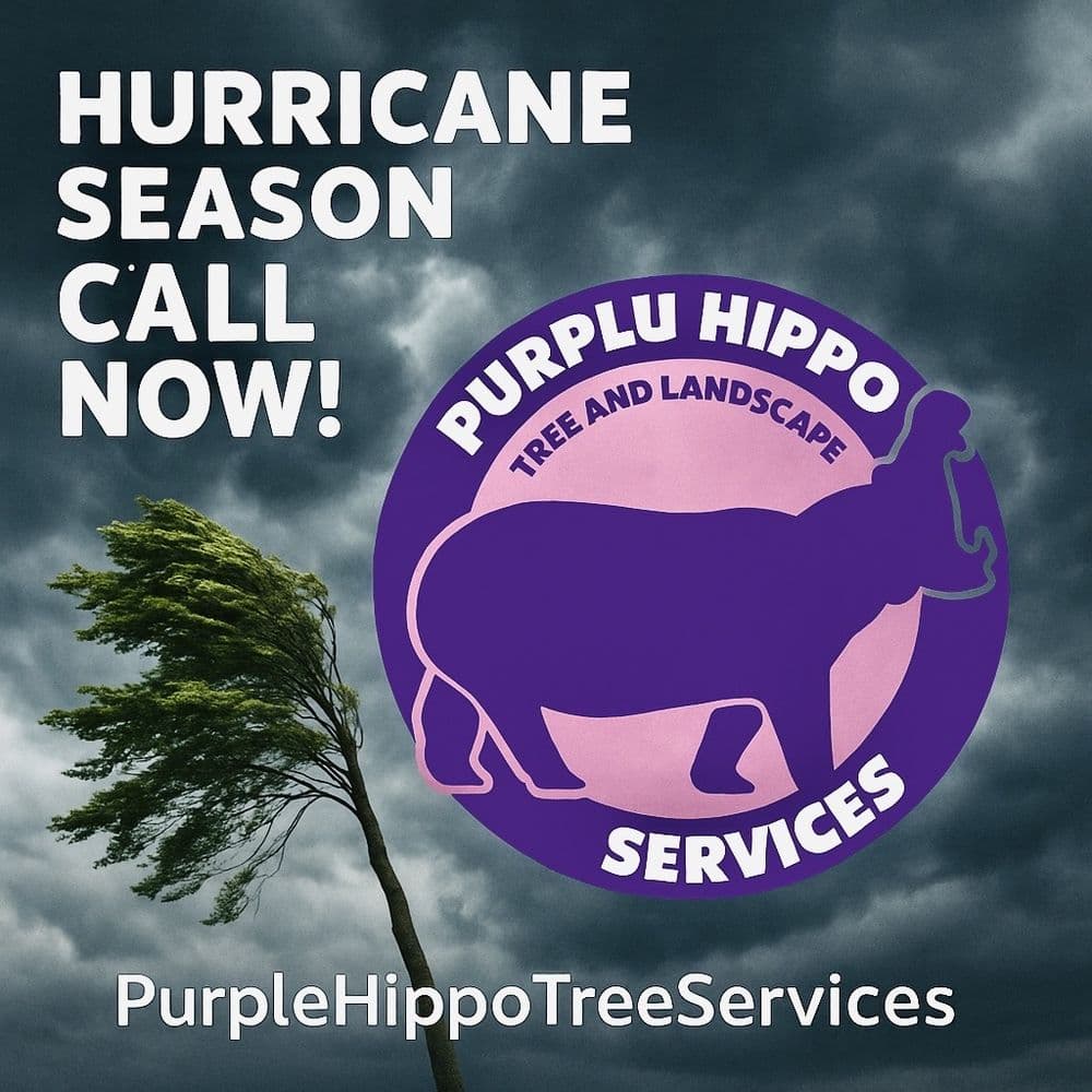 Purple Hippo Tree and Landscape Services
