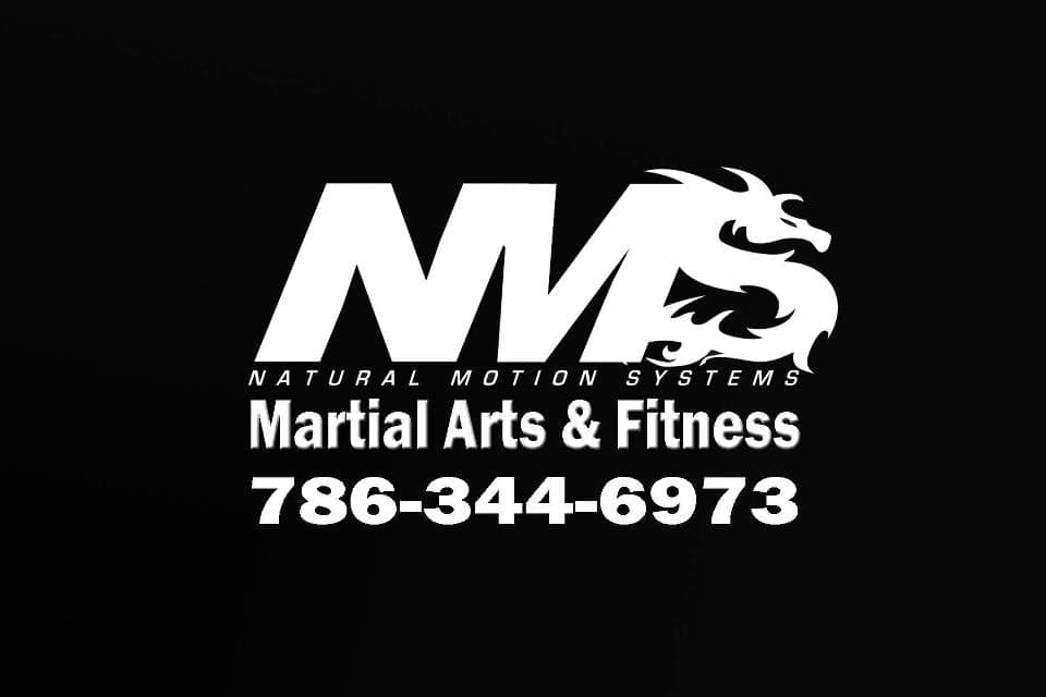 Natural Motion Systems