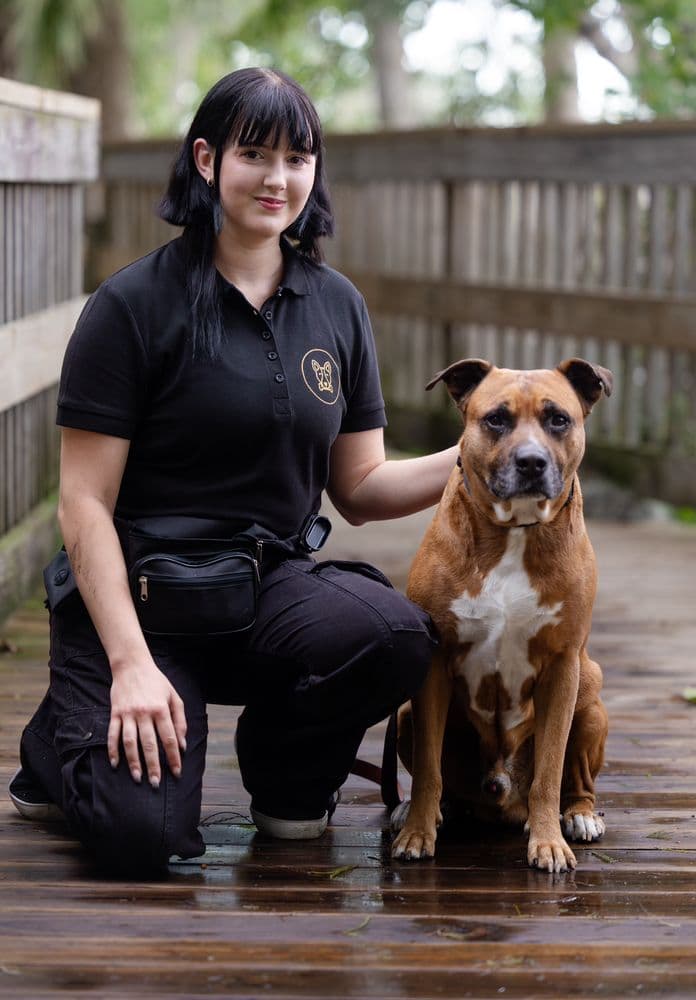 Canine Collegiate