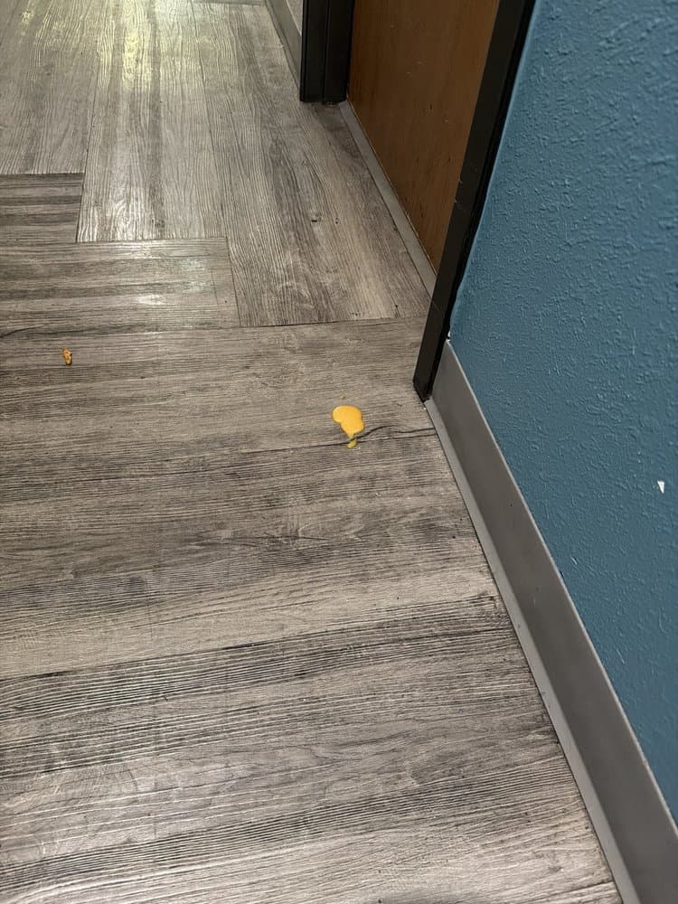 Woodspring Suites