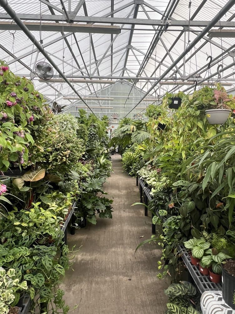 Proctor Ace Hardware