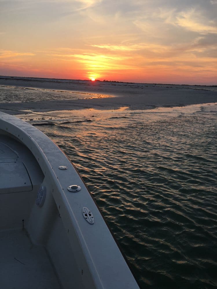 Fish Hunters Charters