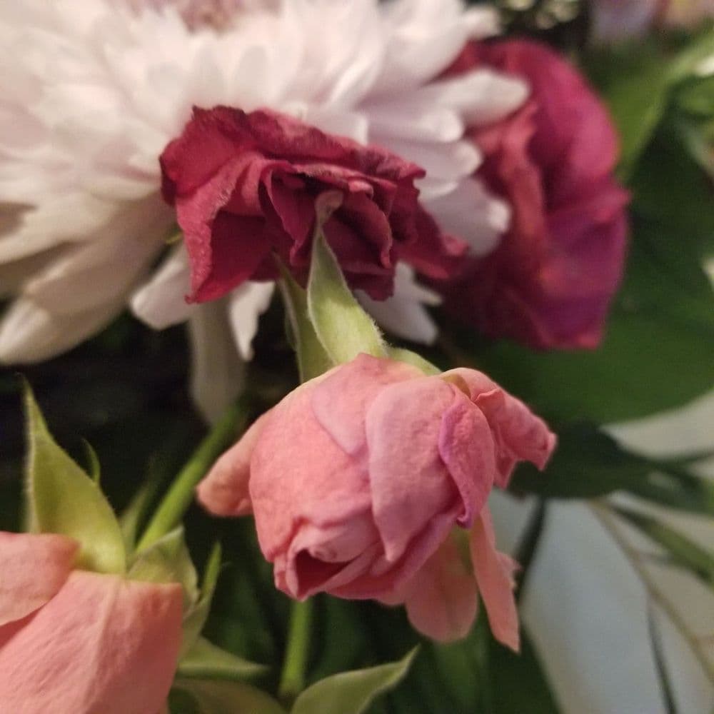 Southern Grace Fresh Floral Market