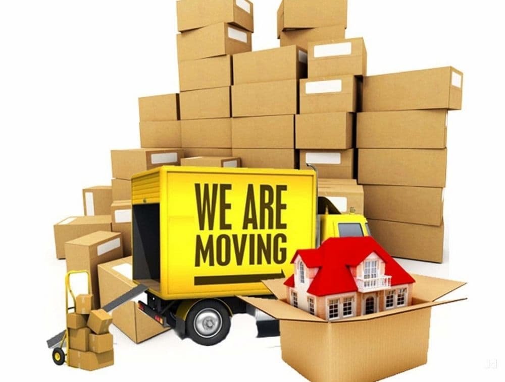 North American Quick Moves