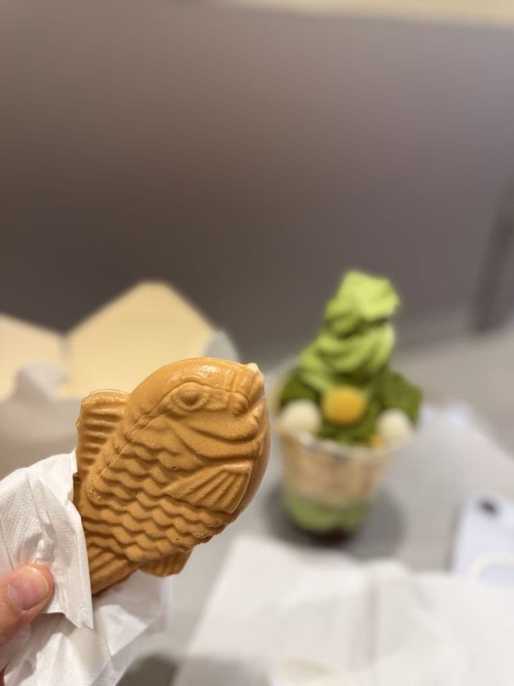 Matcha Cafe Maiko